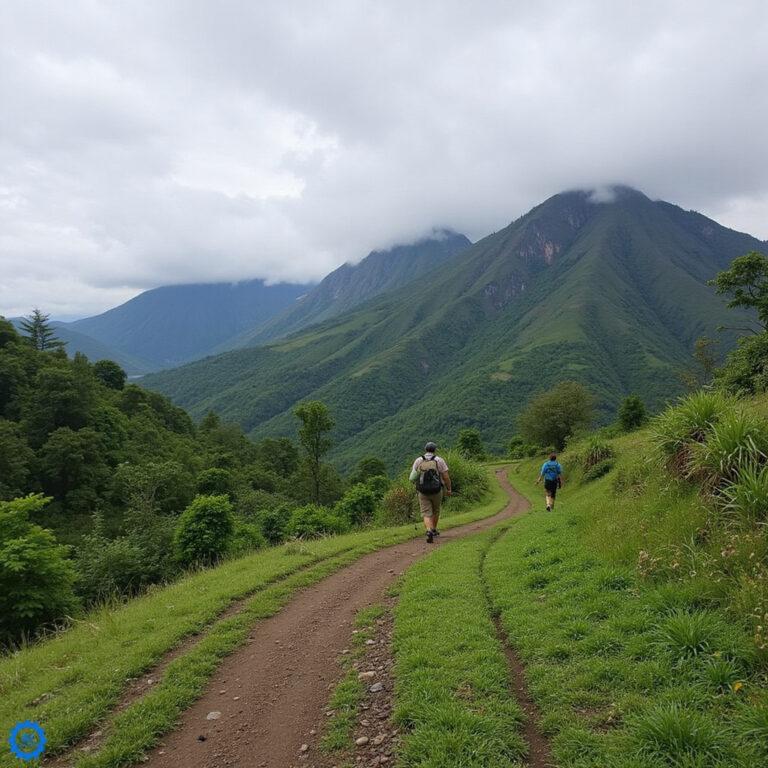 Tropikalna ścieżka trekkingowa w lasach Mindanao prowadząca do wodospadu Lamou